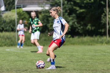 Bild 117 - wBJ Hamburger SV - VfL Wolfsburg : Ergebnis: 5:1